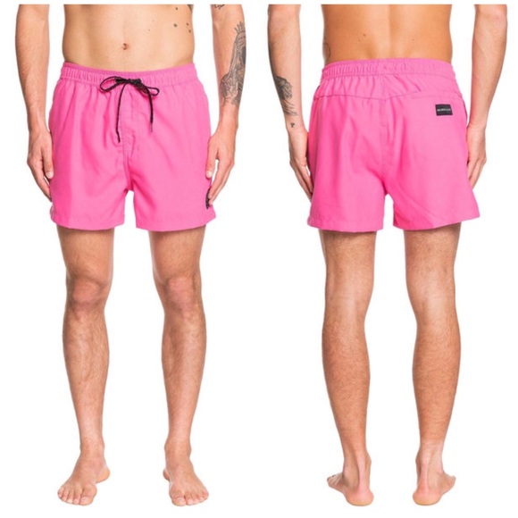 Quiksilver Other - Quiksilver Everyday Volley Boardshorts